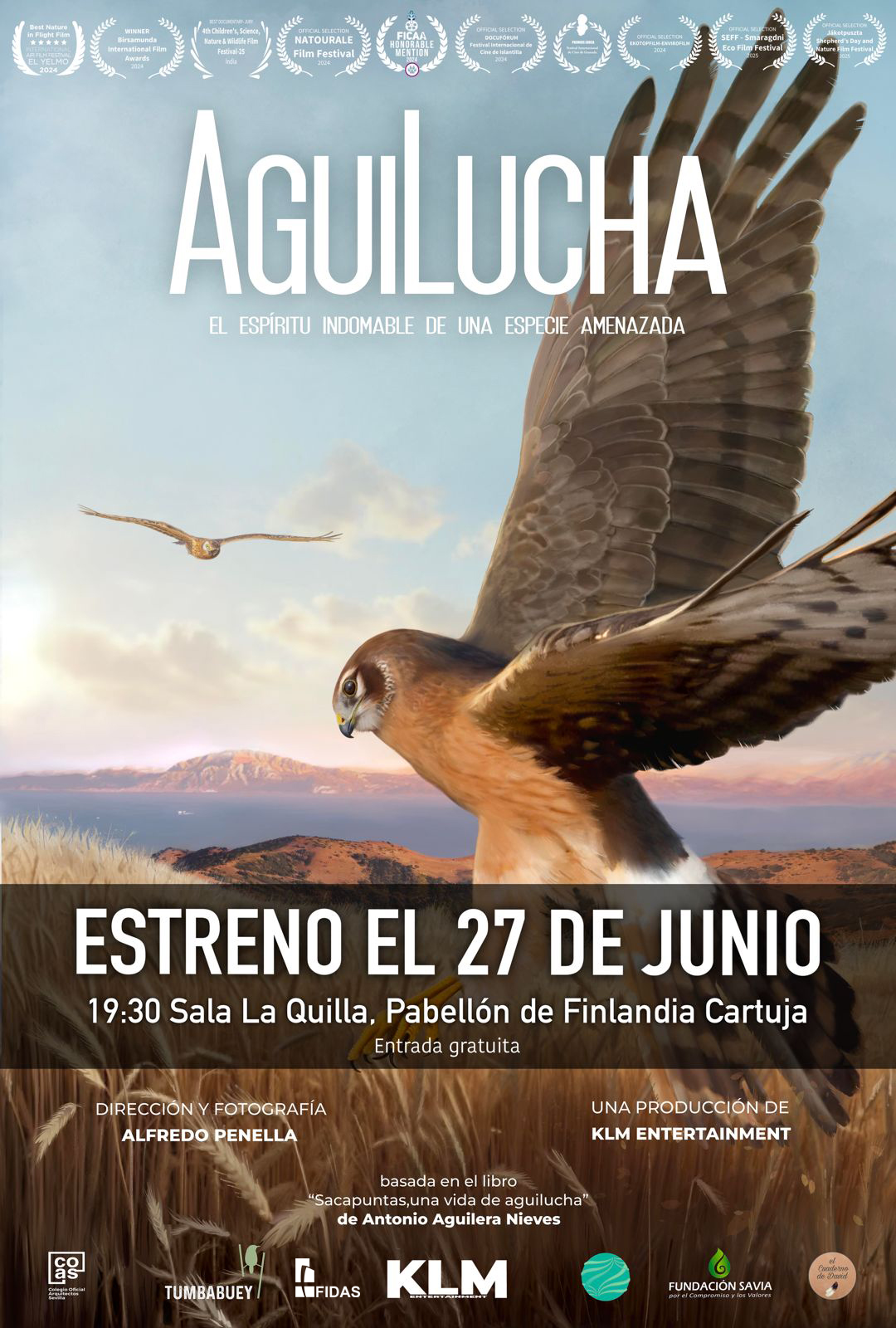 Aguilucha